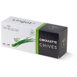 Veritable Lingot® Chives - Organic | shoptok.hr