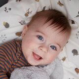 Leander® otroška posteljnina junior 100x140 forrest cappuccino | Shoptok.si