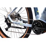 Capriolo Volta 9.4 E-bike 29'' sivi (926801-18) | Eponuda.com