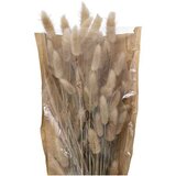 Atmosphera Umjetno cvijeće buket Bunny Tails, 58, Bež Cijene