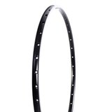 CHAOYANG felna - 28" alu schurman 32 rupe crna ( 120330 ) Cene