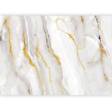  Foto tapeta - Noble Stone 450x315 Premium | shoptok.hr