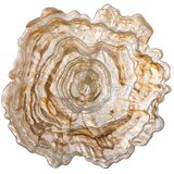 Bloomingville Bež staklena zdjela ø 38,5 cm Asimi – | shoptok.hr