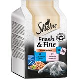 MULTI pakiranje Sheba Fresh & Fine vrečke 6 x 50 g - Losos & tuna v omaki | shoptok.hr