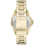  RUČNI SAT FOSSIL BQ2884 | Shoptok.si