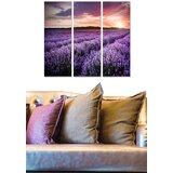 Wallity Set slika MDF446431585, 3 dijela | Eponuda.ba
