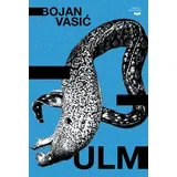Bojan Vasić - Ulm