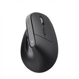 Trust BAYO+ (črna) ergonomična brezžična miška, (21381309) | Shoptok.si