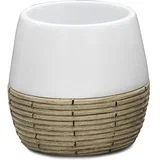 čaša safari poliresin 2151101