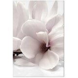  Slika - Blooming Light (1 Part) Vertical 40x60 | shoptok.hr
