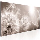  Slika - Summer Dandelions 150x50 Cijene