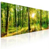  Slika - Magic Forest 225x90 | shoptok.hr