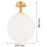  argon 8505 - plafonsko svetlo paloma 1xE27/15W/230V zlatna/bela | Eponuda.com