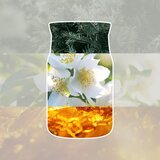Yankee Candle Silver Birch mirisna svijeća Signature 110 g | shoptok.hr