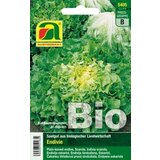 AUSTROSAAT Bio endivija "Bubikopf2/Perlita" Cene