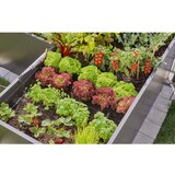 Gardena Micro-Drip-System Set za visokih navodnjavanje kapanjem greda / greda (35 biljaka), 13455-20 | shoptok.hr