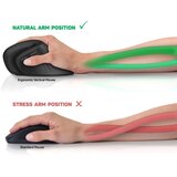 Connect IT CMO-2900-BK - Ergonomski bežični miš, 800/1200/1600 DPI, napajanje 1xAA, crna | Eponuda.com