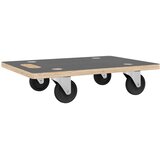  Transportna kolica 2 kom pravokutna 50 x 35 x 11,5 cm 250 kg | shoptok.hr