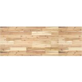 vidaXL Ploča za radni stol neobrađena 120x50x2 cm od bagremovog drva | shoptok.hr