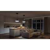 GOVEE Pendant Light Smart ceiling light Wi-Fi /Bluetooth | shoptok.hr