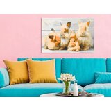  Slika za samostalno slikanje - Four Bunnies 60x40 | shoptok.hr