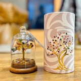  Drevesce za sedem čaker – energetski vrt s 30 kamni - Majhna pozornost - Dan žena - Birma | Shoptok.si