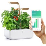  Veritable® CONNECT Moonlight Gold Kučni Vrt | shoptok.hr
