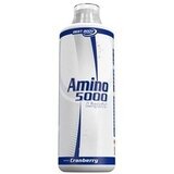 Best Body Nutrition Amino Liquid 5000 Cene