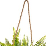 Casa Selección Umjetna paprat (visina 25 cm) – | shoptok.hr