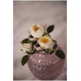 Leonardo L018670 sarena | shoptok.hr