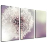  Slike na platnu cveće | ePonuda.com