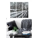 Wallity MDF142894 multicolor decorative mdf painting (3 pieces) Cene