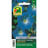 AUSTROSAAT Lepi slak "Ipomoea - Modro nebo" mešanica Cene