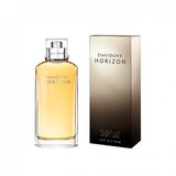 Davidoff Muška toaletna voda HORIZON EDT 125ml u