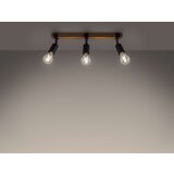  Stropna svetilka ZUCA 3 črna, (21347765) | Shoptok.si