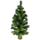 Lilium jelka 55cm u panju 876157 | ePonuda.com