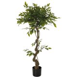 MID.YOU Umetna Rastlina Ficus I | Shoptok.si
