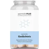 Spermidin "Memory"