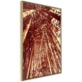  Poster - Asian Forest 30x45 Cijene