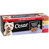 Cesar vrećice u želeu Senior 10+ - 80 x 100 g Cijene