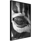  Poster - Zebra Is Watching You 20x30 | shoptok.hr