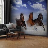 Foto tapeta - Horses in the Snow 450x315 Premium | shoptok.hr