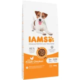 IAMS for Vitality Dog Adult Small & Medium piščanec - Varčno pakiranje: 2 x 12 kg