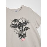 Sinsay Pamučna majica kratkih rukava Iron Man | shoptok.hr