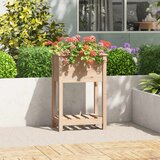vidaXL Visoka greda s polico 54x34,5x81 cm trdna borovina | Shoptok.si