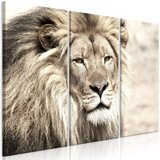  Slika - The King of Beasts (3 Parts) Beige 120x80 Cijene