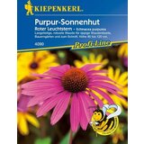 KIEPENKERL Ehinacea "rdeči svetilnik" Cene