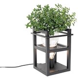 QAZQA Industrijska namizna svetilka črna - Cage Rack | Shoptok.si