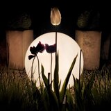  LED RGBW prigušiva spoljašnja lampa GLOBO 1xE27/9W/230V prečnik 30 cm IP44 | Eponuda.com