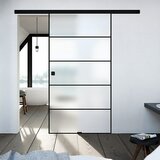 DIAMOND DOORS black Edition Staklena klizna vrata Lines (935 x 2.058 mm, Mat staklo) Cijene